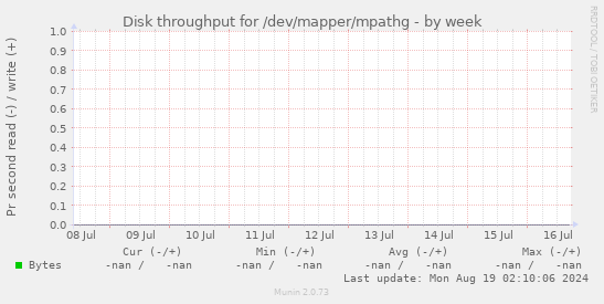 Disk throughput for /dev/mapper/mpathg