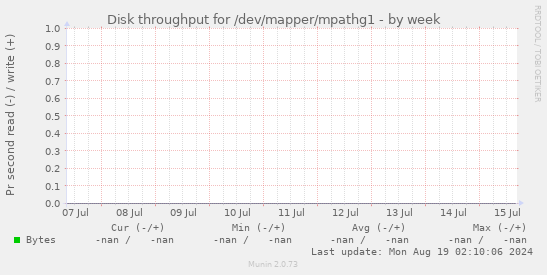 Disk throughput for /dev/mapper/mpathg1