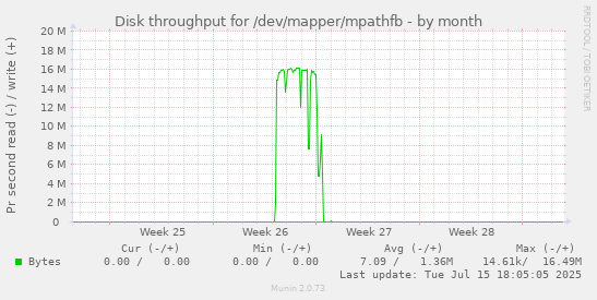 Disk throughput for /dev/mapper/mpathfb