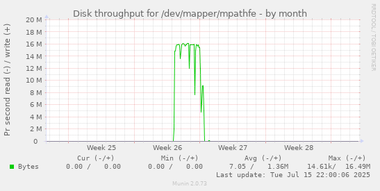 Disk throughput for /dev/mapper/mpathfe