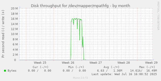 Disk throughput for /dev/mapper/mpathfg