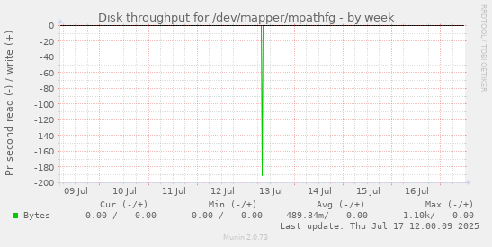 Disk throughput for /dev/mapper/mpathfg