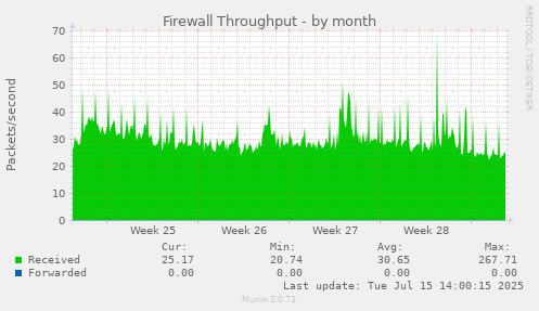 Firewall Throughput